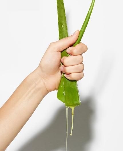 Aloe Vera, The Skincare Powerhouse